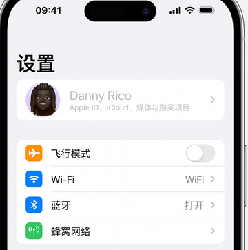 宁海appleID维修服务iPhone设置中Apple ID显示为灰色无法使用 