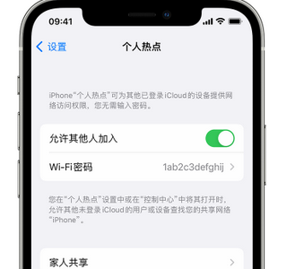 宁海apple服务站点分享iPhone上个人热点丢失了怎么办 