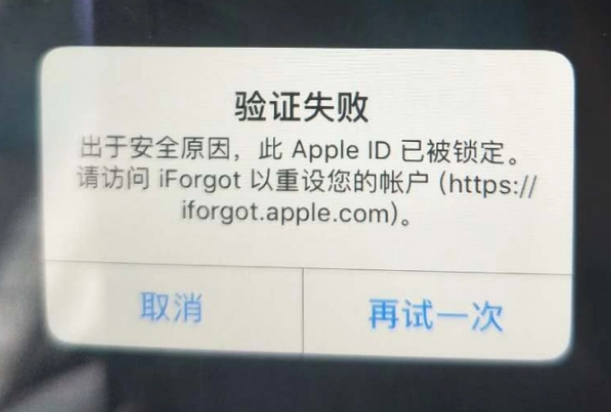 宁海iPhone维修分享iPhone上正常登录或使用AppleID怎么办 