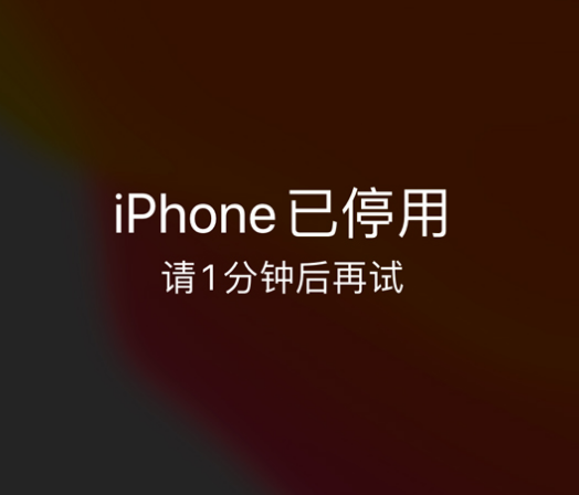 宁海苹果手机维修分享:iPhone 显示“不可用”或“已停用”怎么办？还能保留数据吗？ 