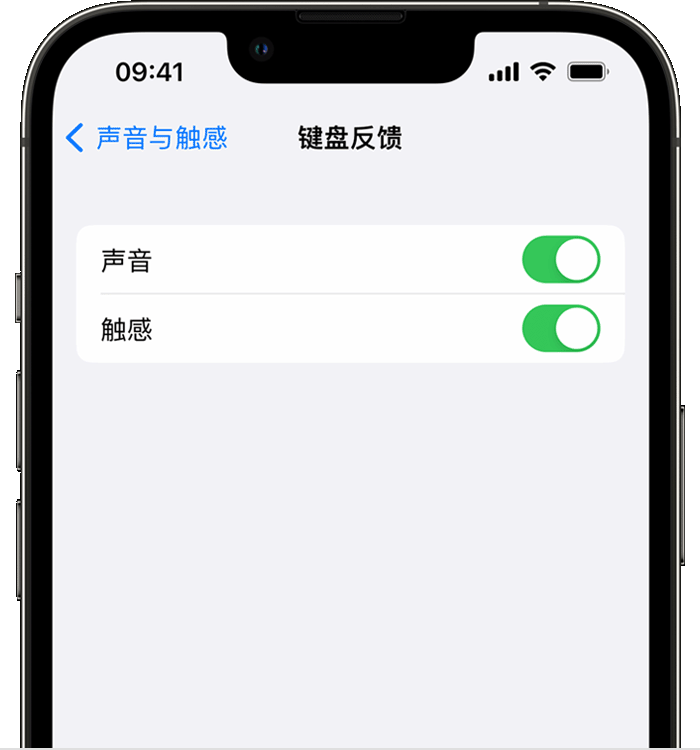 宁海苹果14维修店分享如何在 iPhone 14 机型中使用触感键盘 