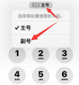 宁海苹果14维修店分享iPhone 14 Pro Max使用副卡打电话的方法 