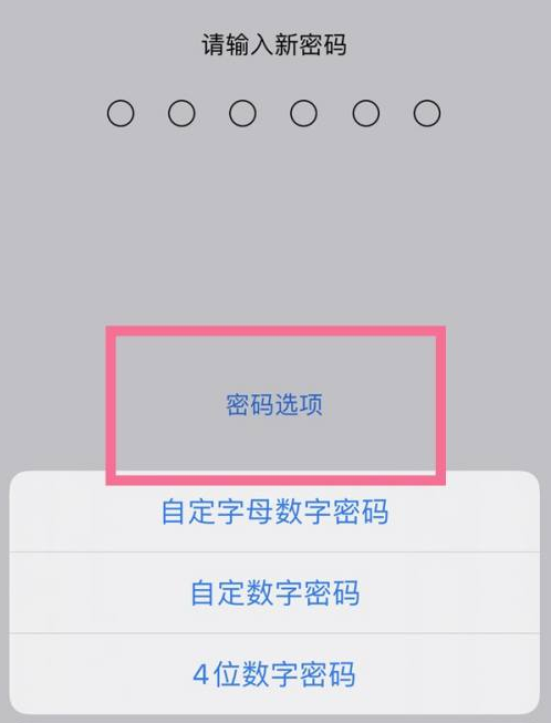 宁海苹果14维修分享iPhone 14plus设置密码的方法 