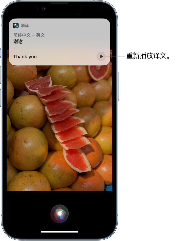 宁海苹果14维修分享 iPhone 14 机型中使用 Siri：了解 Siri 能帮你做什么 