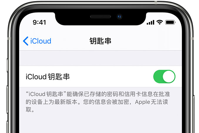 宁海苹果手机维修分享在 iPhone 上开启 iCloud 钥匙串之后会储存哪些信息 