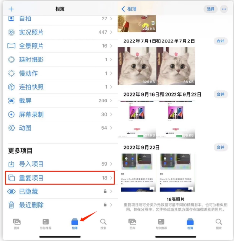 宁海苹果手机维修分享iOS 16 中相册重复项目功能使用方法 