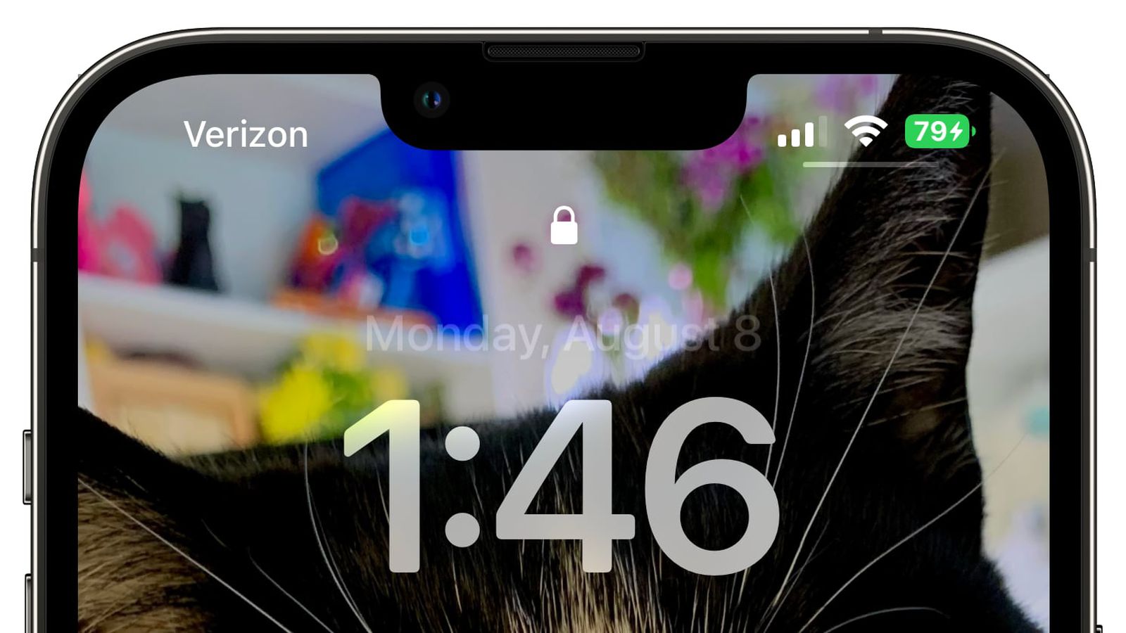 宁海苹果手机维修分享iOS 16 beta 5 支持状态栏显示电池百分比，如何开启？支持哪些机型 