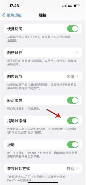 宁海苹果手机维修分享iPhone手机如何设置摇一摇删除文字 