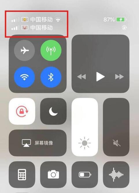 宁海苹果手机维修分享为 iPhone 12 双卡设置标签 