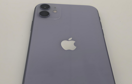 宁海苹果11系统维修分享iPhone11手机系统崩溃无法开机如何解决 